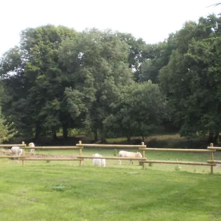 Gite Renove Mitoyen Pmr, 3 Chambres, Terrasse, Proche Nature - Fr-1-426-112 Prázdninový dům